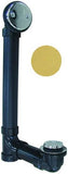 Tip Toe Waste and Overflow ABS Schedule 40, Polished Brass Finish