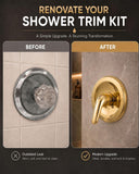 Repair Kit/Renovation Kit Fits Delta RP54870, Series 600 All Metal Parts Tub and Shower, With Lever Handle, Polished Brass Finish -By Plumb USA