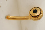 Handheld Shower, Polish Brass Finish - Spray Sensation